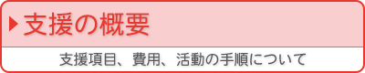 支援の概要