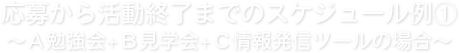 応募から活動終了までのスケジュール例(1)