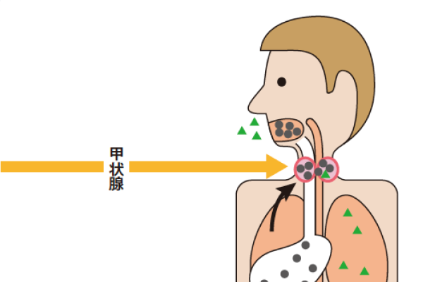 原子力防災