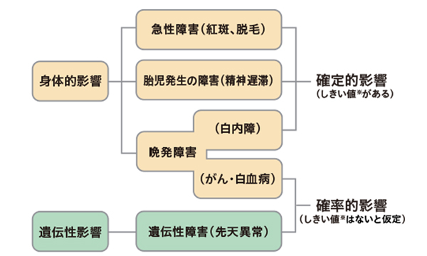 被ばくと健康影響